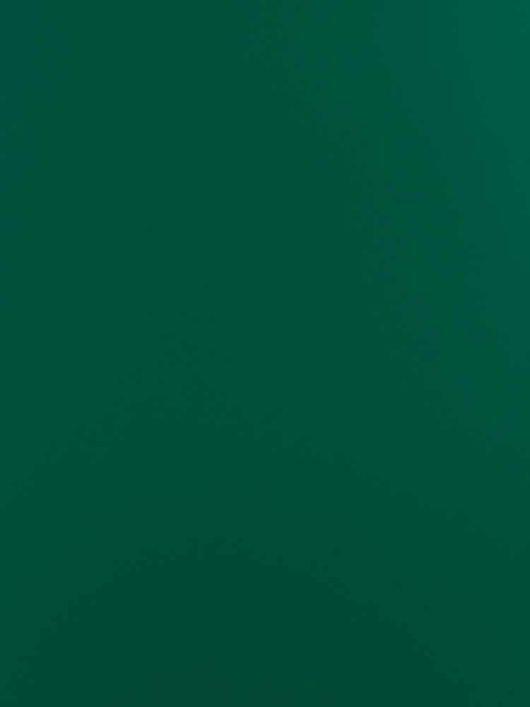 AI 50 Olive Green